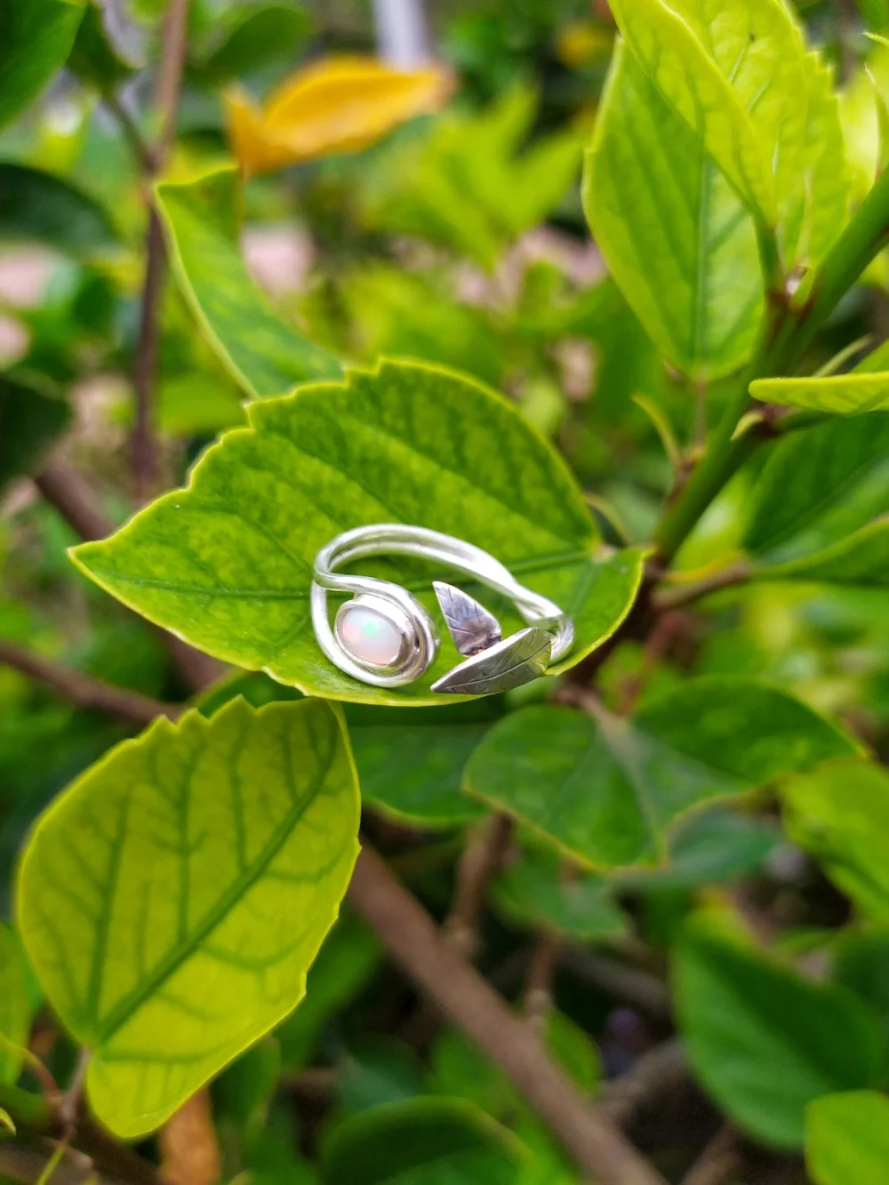 Salt & Silver Jewelry - 2