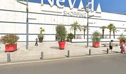 SINGULARU